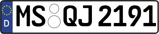 MS-QJ2191