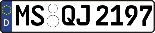 MS-QJ2197
