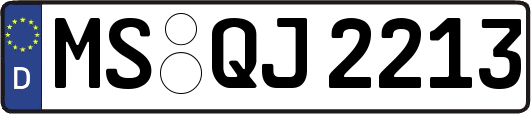 MS-QJ2213