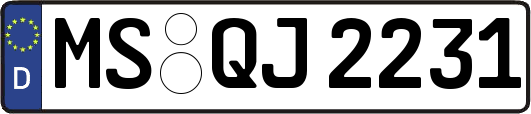 MS-QJ2231