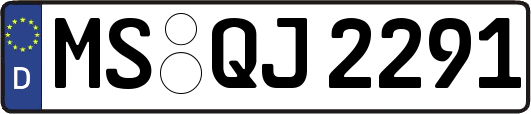 MS-QJ2291