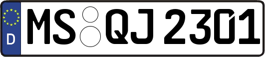 MS-QJ2301