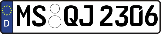 MS-QJ2306