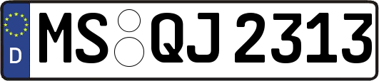MS-QJ2313