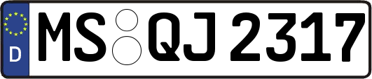 MS-QJ2317