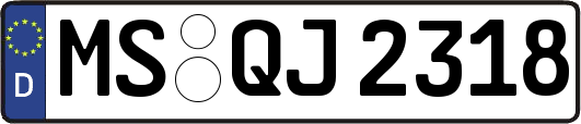 MS-QJ2318