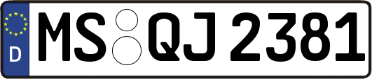 MS-QJ2381