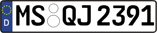 MS-QJ2391