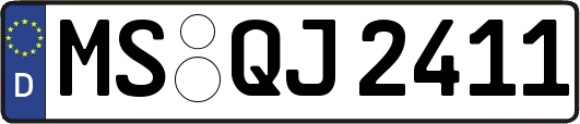 MS-QJ2411