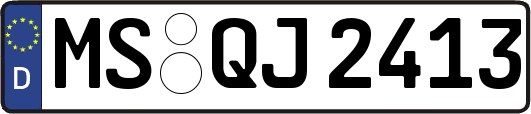 MS-QJ2413