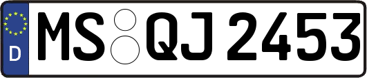 MS-QJ2453