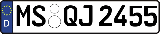 MS-QJ2455