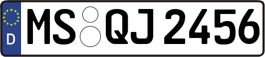 MS-QJ2456