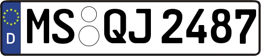 MS-QJ2487