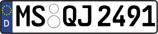 MS-QJ2491