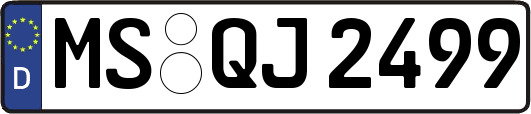 MS-QJ2499