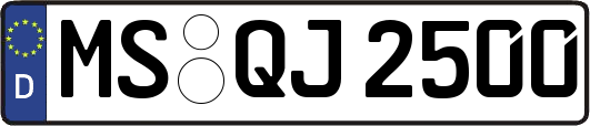 MS-QJ2500