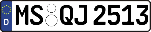 MS-QJ2513