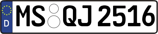 MS-QJ2516