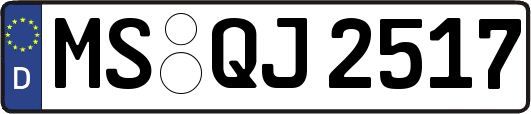 MS-QJ2517