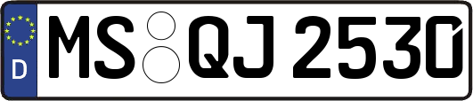 MS-QJ2530