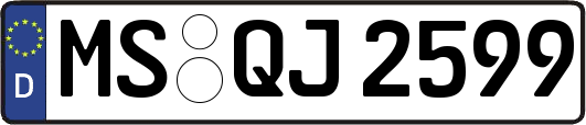 MS-QJ2599