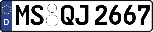 MS-QJ2667