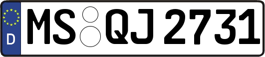 MS-QJ2731