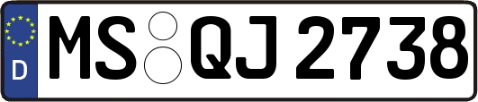 MS-QJ2738