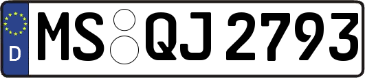 MS-QJ2793