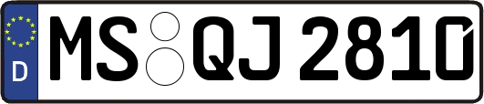 MS-QJ2810