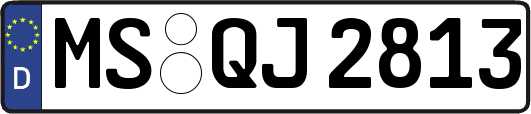 MS-QJ2813