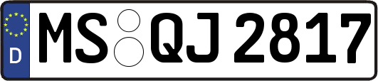 MS-QJ2817