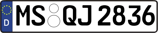 MS-QJ2836