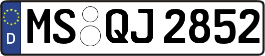 MS-QJ2852