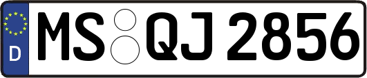 MS-QJ2856