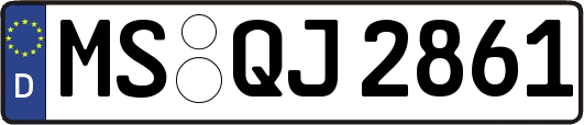 MS-QJ2861