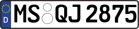 MS-QJ2875