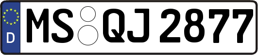 MS-QJ2877