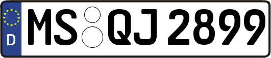 MS-QJ2899