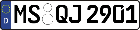 MS-QJ2901