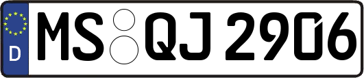 MS-QJ2906