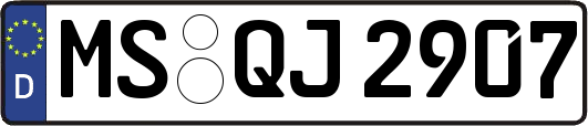 MS-QJ2907
