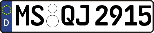 MS-QJ2915