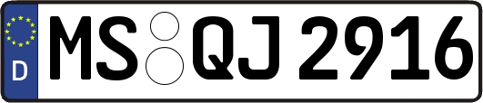 MS-QJ2916