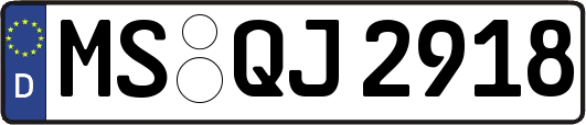 MS-QJ2918