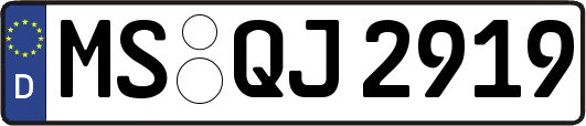 MS-QJ2919