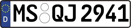 MS-QJ2941