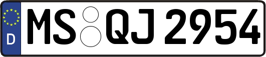 MS-QJ2954