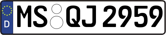 MS-QJ2959
